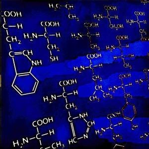 Amino Acids